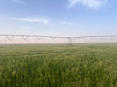 Desertina Agricultura