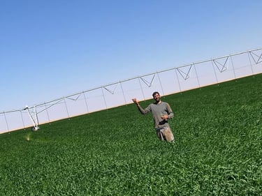 Desertina Agricultura