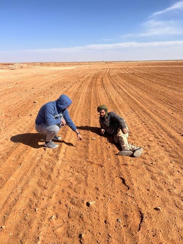 Desertina Agricultura