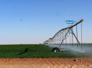Desertina Agricultura