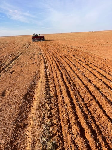 Desertina Agricultura