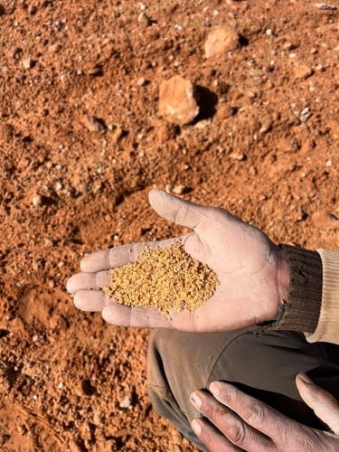 Desertina Agricultura