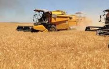 Desertina Agricultura