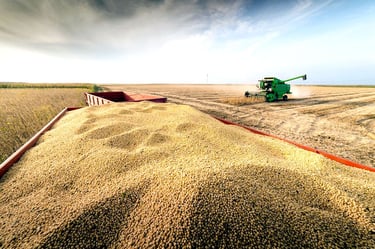 Desertina Agricultura