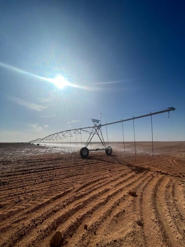 Desertina Agricultura